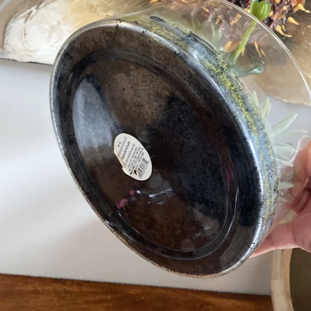 Target Threshold. Succulents in terrarium Glass bowl arrangement.